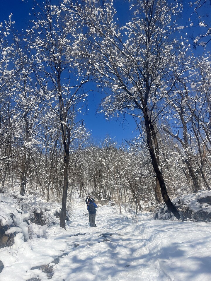 Gubeikou Great Wall, 2025/03/16 photo #4
