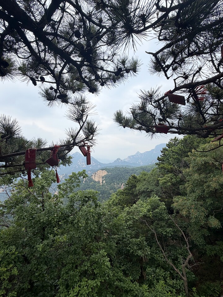 Yunmengshan ‘520’ hike, 2026/06/13—photo #5
