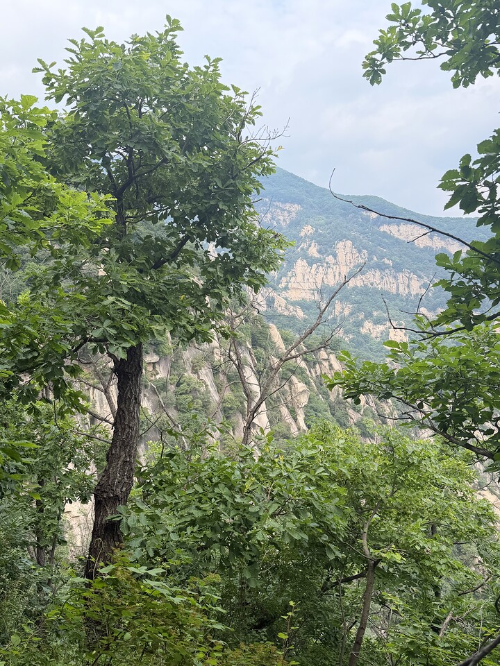 Yunmengshan ‘520’ hike, 2026/06/13—photo #8
