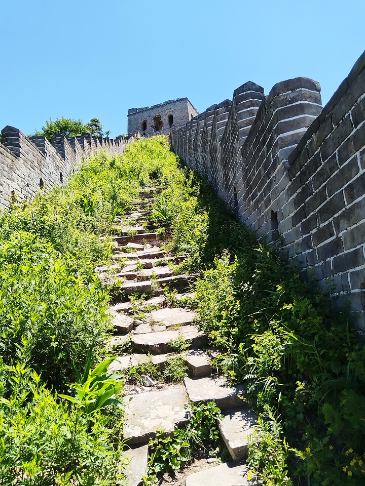 Chenjiapu Great Wall, 2026/06/21—photo #12
