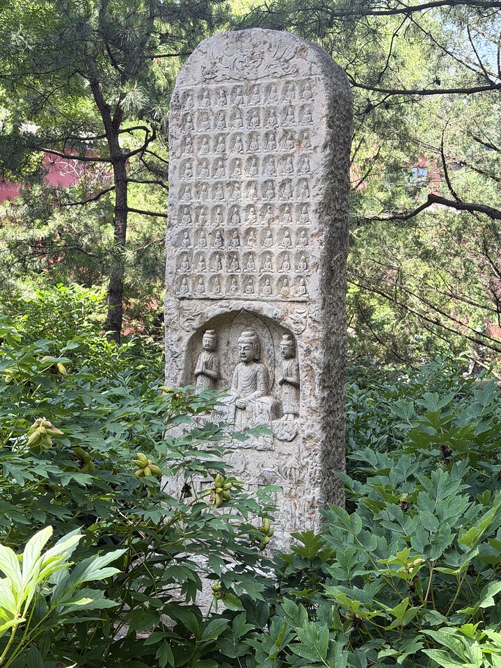 Through the Hills to Baipu Temple, 2026/06/27—photo #11