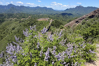 Gubeikou Great Wall, 2026/07/05