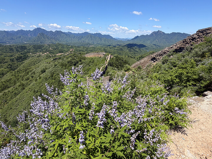 Gubeikou Great Wall, 2026/07/05—photo #4