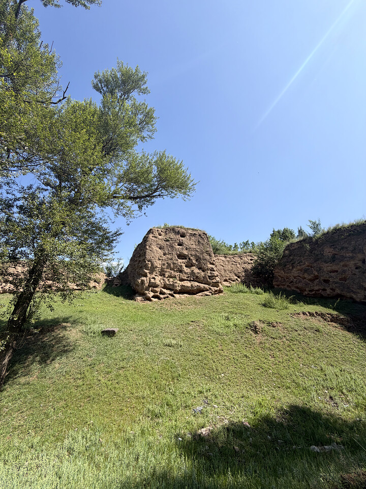 Datong Great Wall scouting, 2026/07/12—photo #49