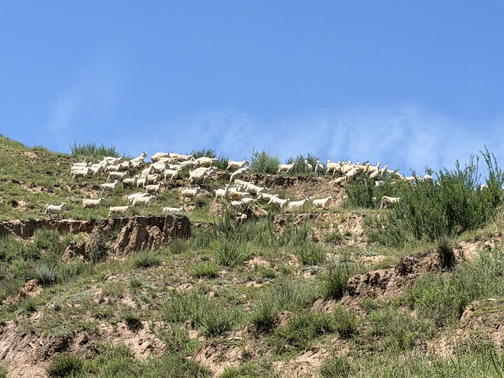 Datong Great Wall scouting, 2026/07/12—photo #58
