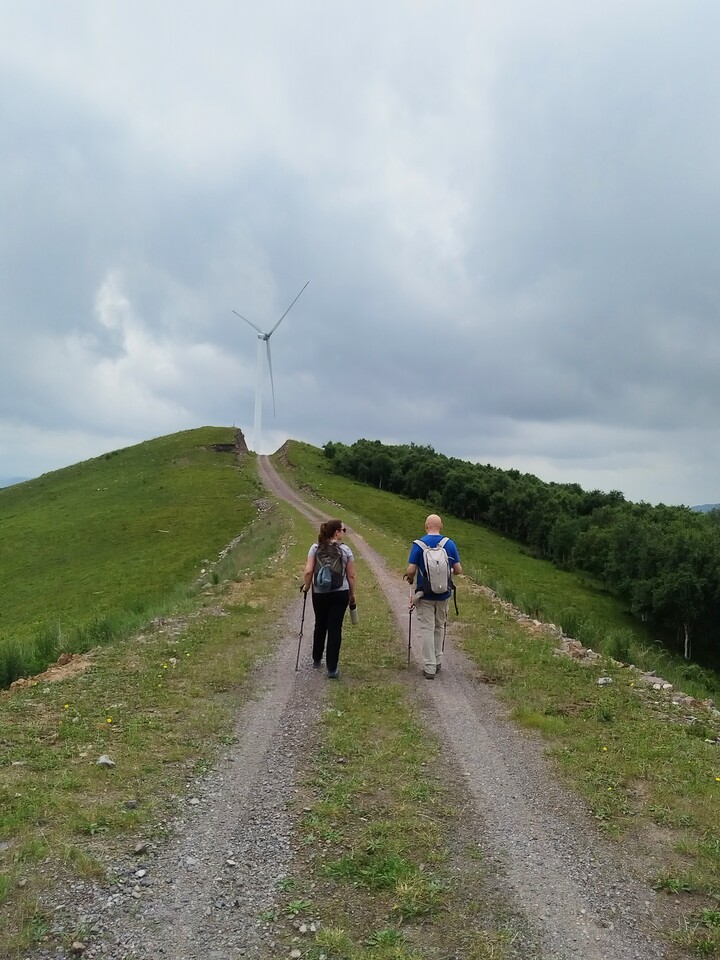 Bashang Grasslands, 2026/07—photo #3