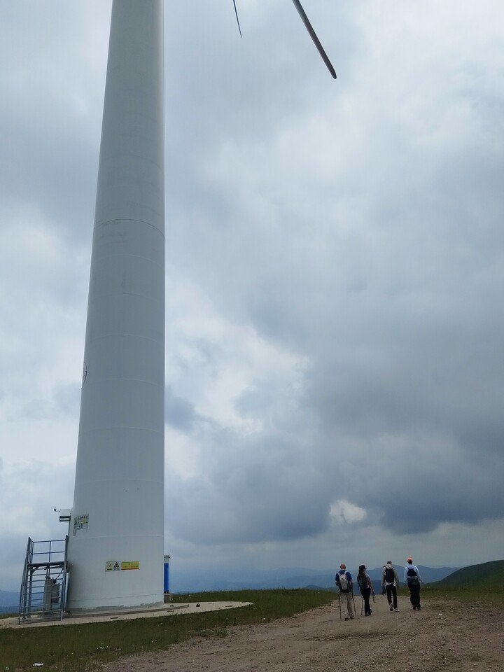 Bashang Grasslands, 2026/07—photo #4