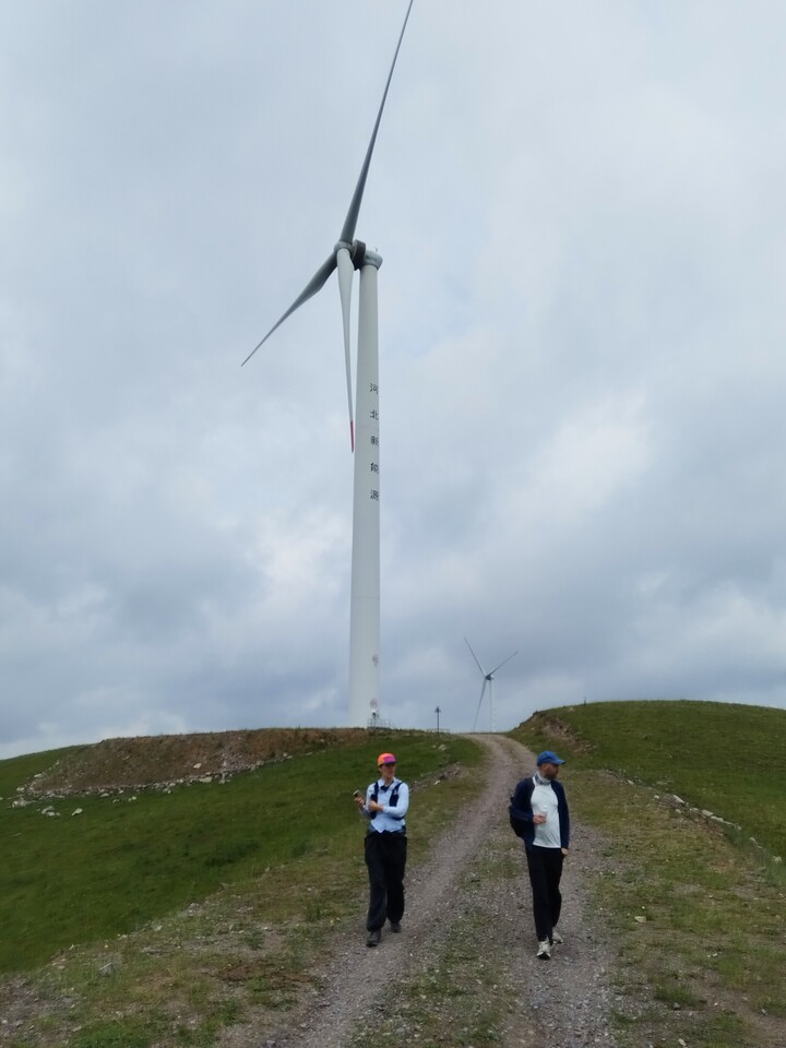 Bashang Grasslands, 2026/07—photo #5