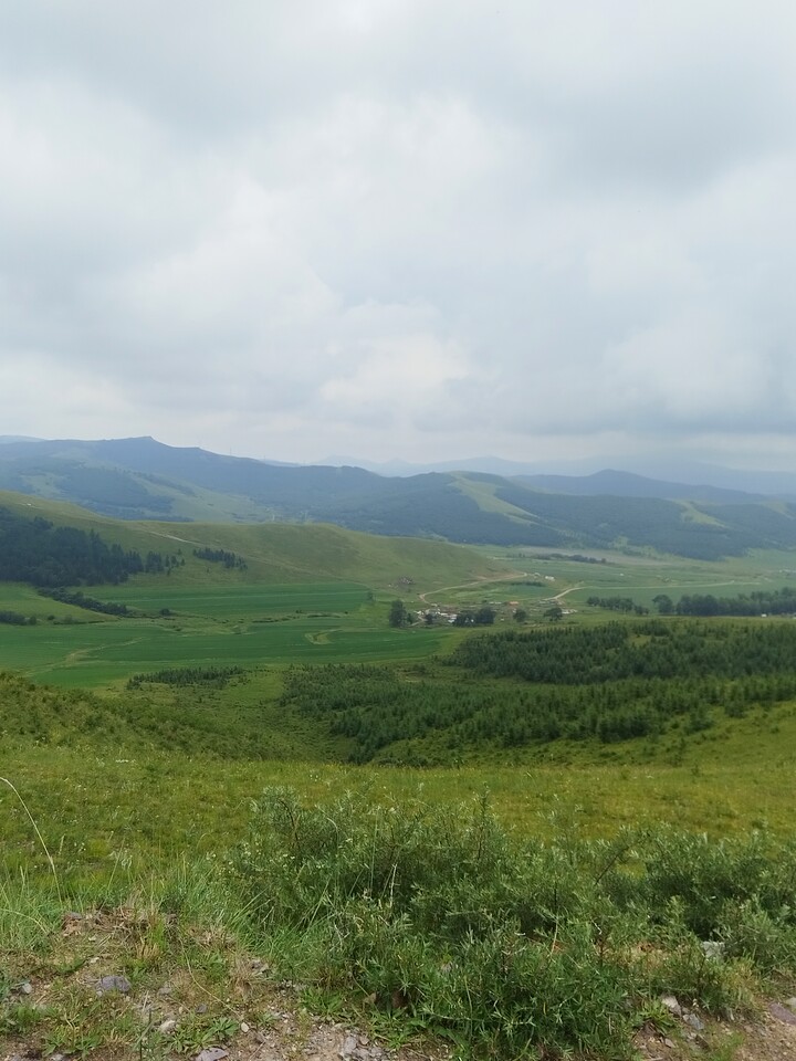 Bashang Grasslands, 2026/07—photo #6
