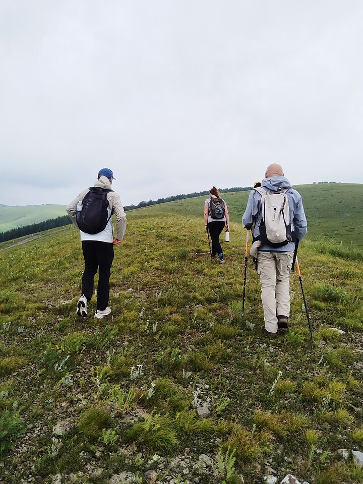 Bashang Grasslands, 2026/07—photo #7