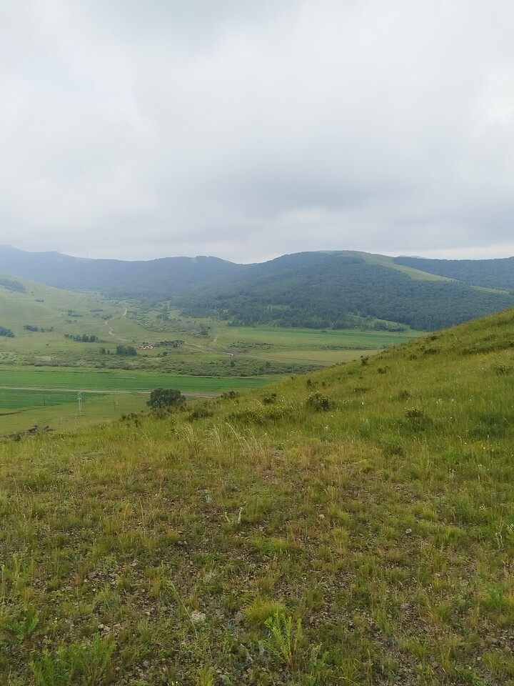 Bashang Grasslands, 2026/07—photo #8