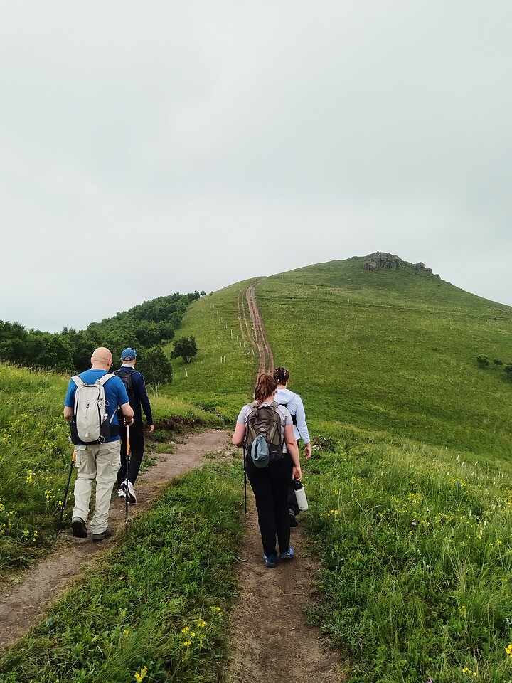 Bashang Grasslands, 2026/07—photo #10