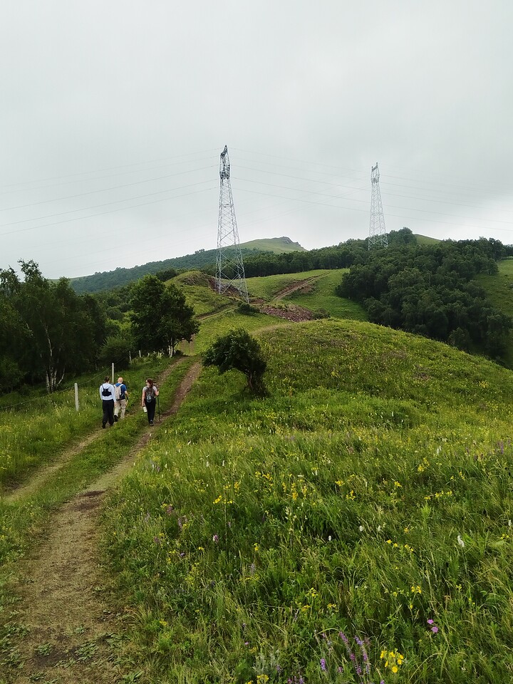 Bashang Grasslands, 2026/07—photo #12