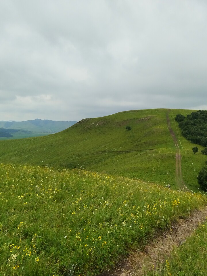 Bashang Grasslands, 2026/07—photo #15