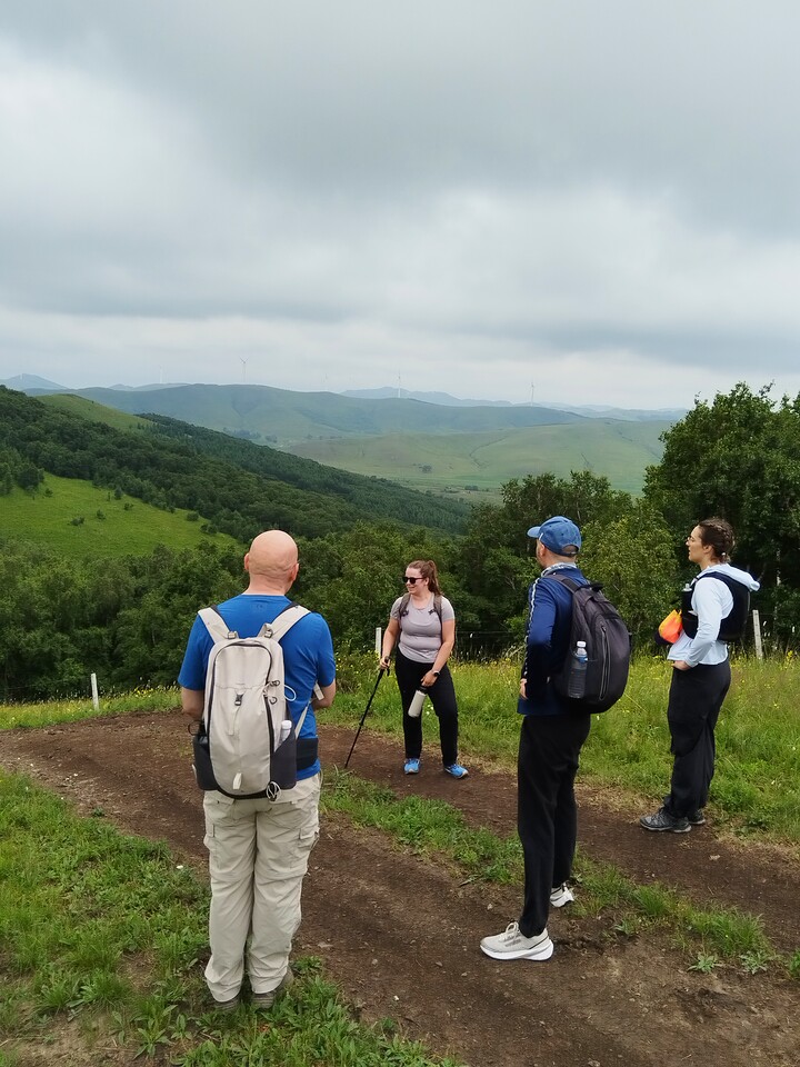 Bashang Grasslands, 2026/07—photo #16