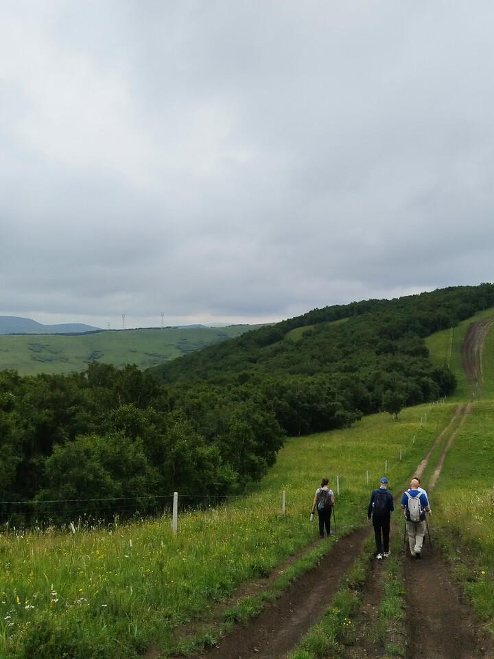 Bashang Grasslands, 2026/07—photo #19