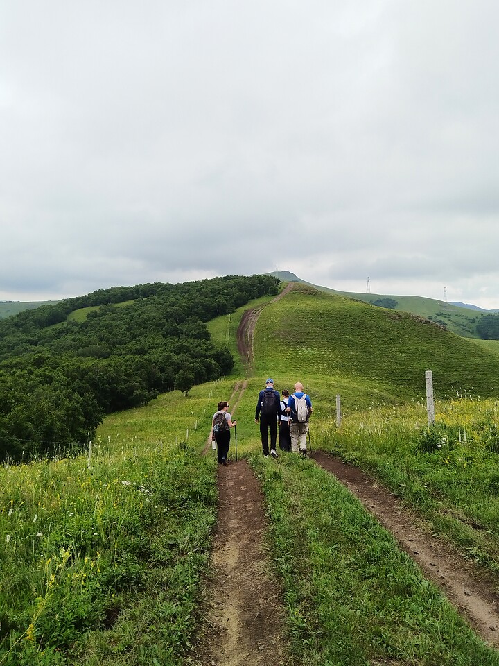 Bashang Grasslands, 2026/07—photo #21