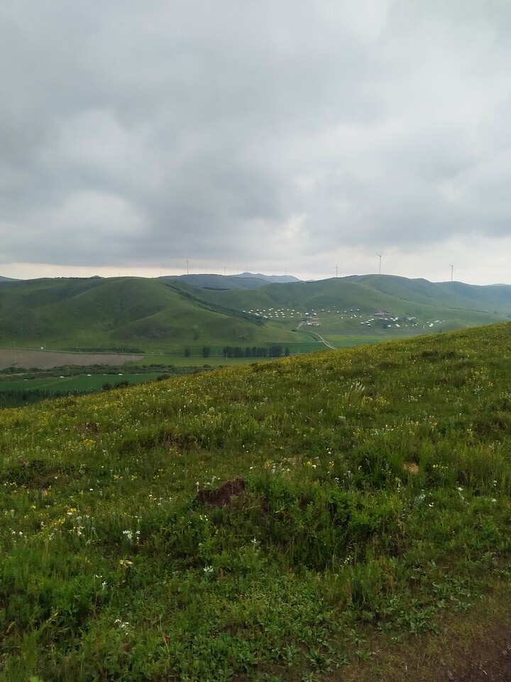 Bashang Grasslands, 2026/07—photo #22