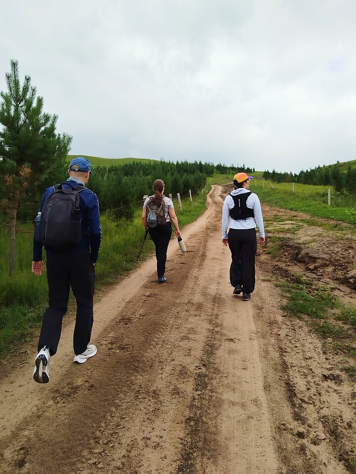 Bashang Grasslands, 2026/07—photo #26