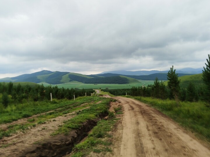 Bashang Grasslands, 2026/07—photo #27