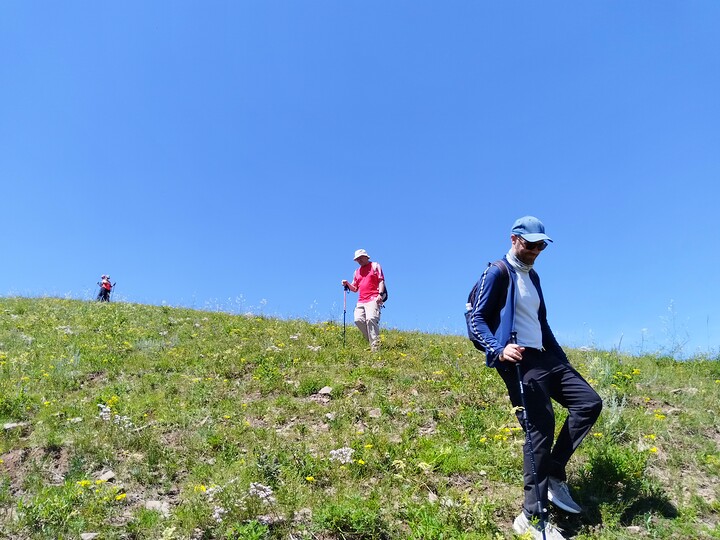 Bashang Grasslands, 2026/07—photo #31