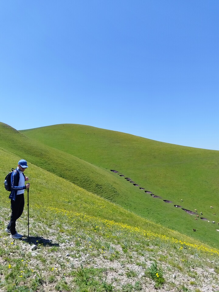 Bashang Grasslands, 2026/07—photo #33