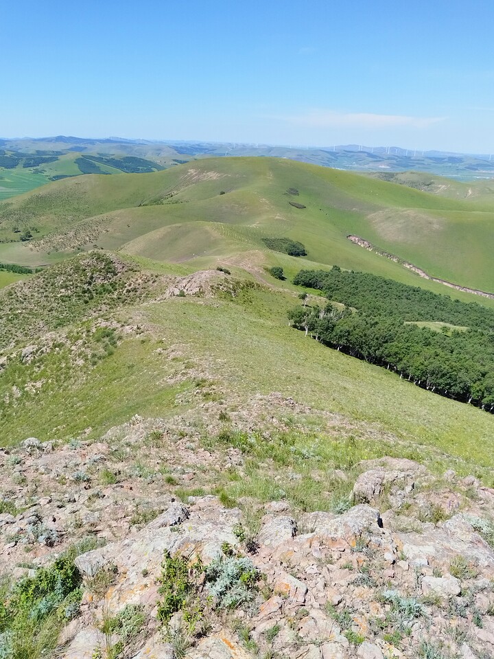 Bashang Grasslands, 2026/07—photo #34