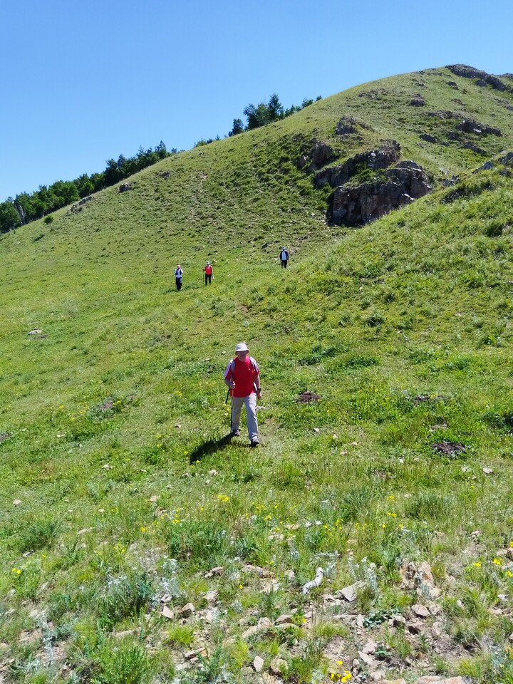 Bashang Grasslands, 2026/07—photo #35