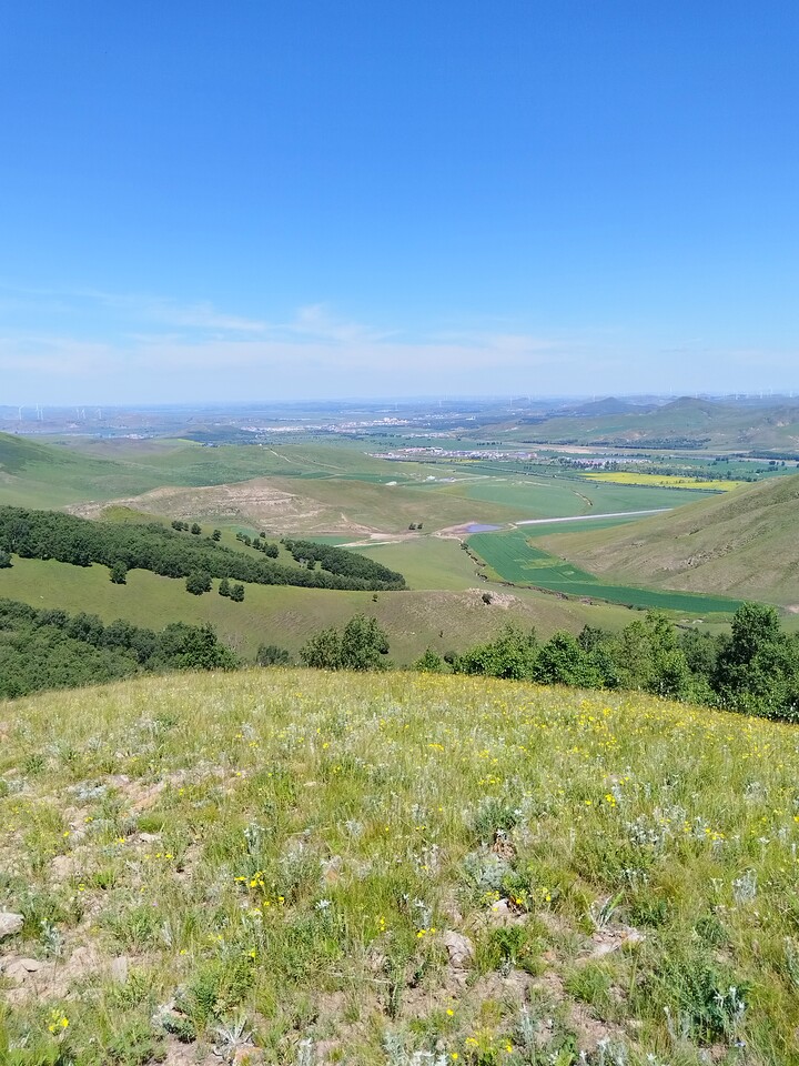 Bashang Grasslands, 2026/07—photo #37
