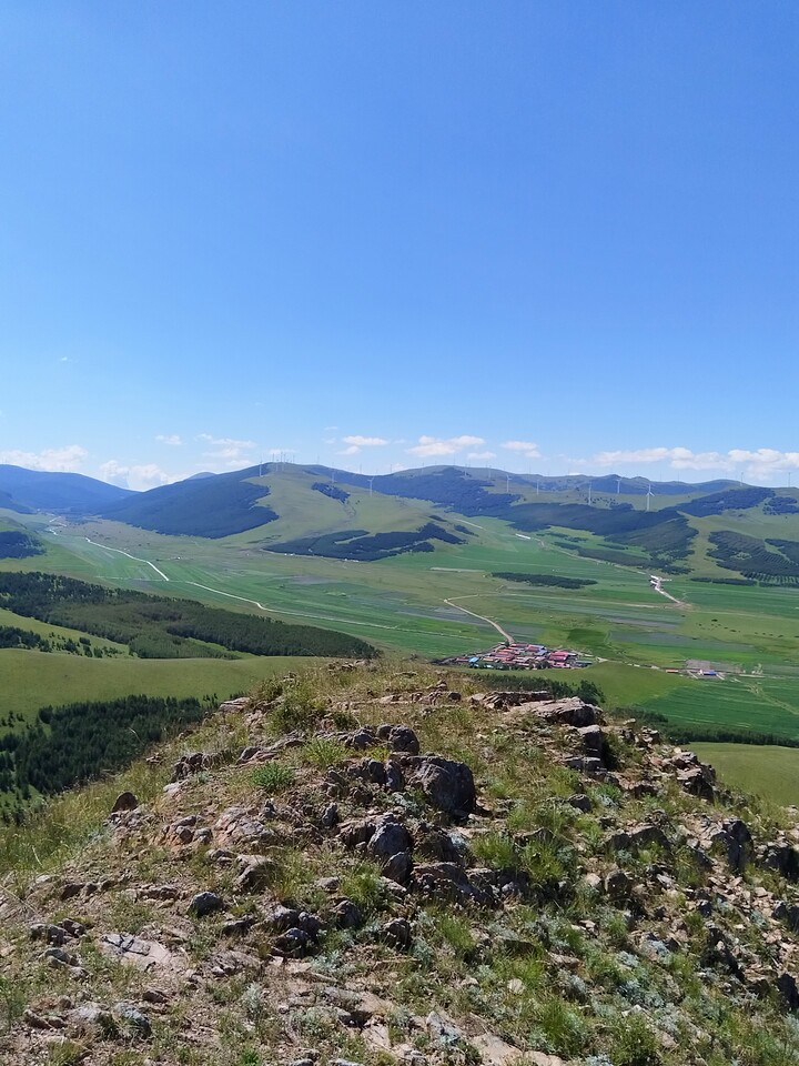 Bashang Grasslands, 2026/07—photo #39