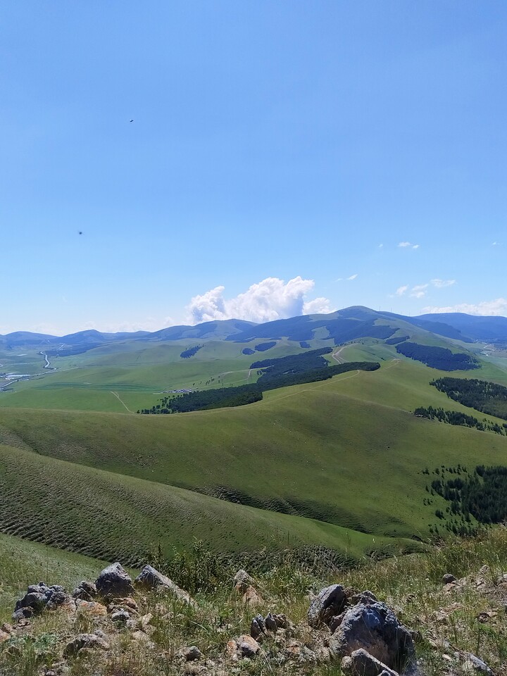 Bashang Grasslands, 2026/07—photo #40