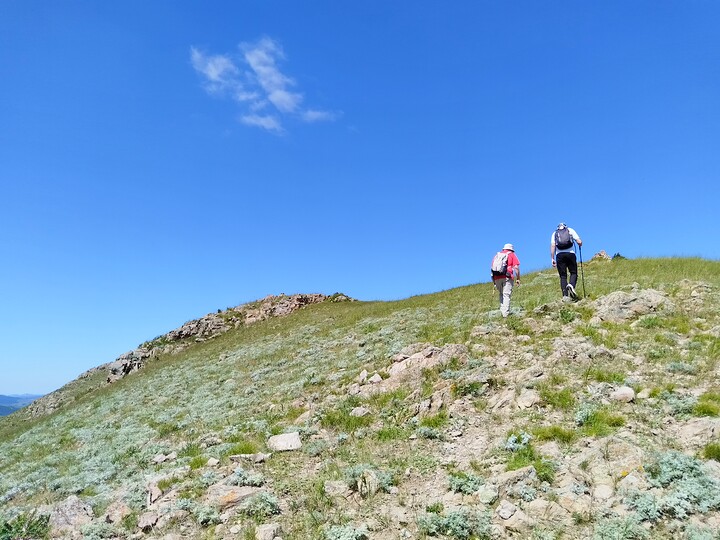 Bashang Grasslands, 2026/07—photo #42