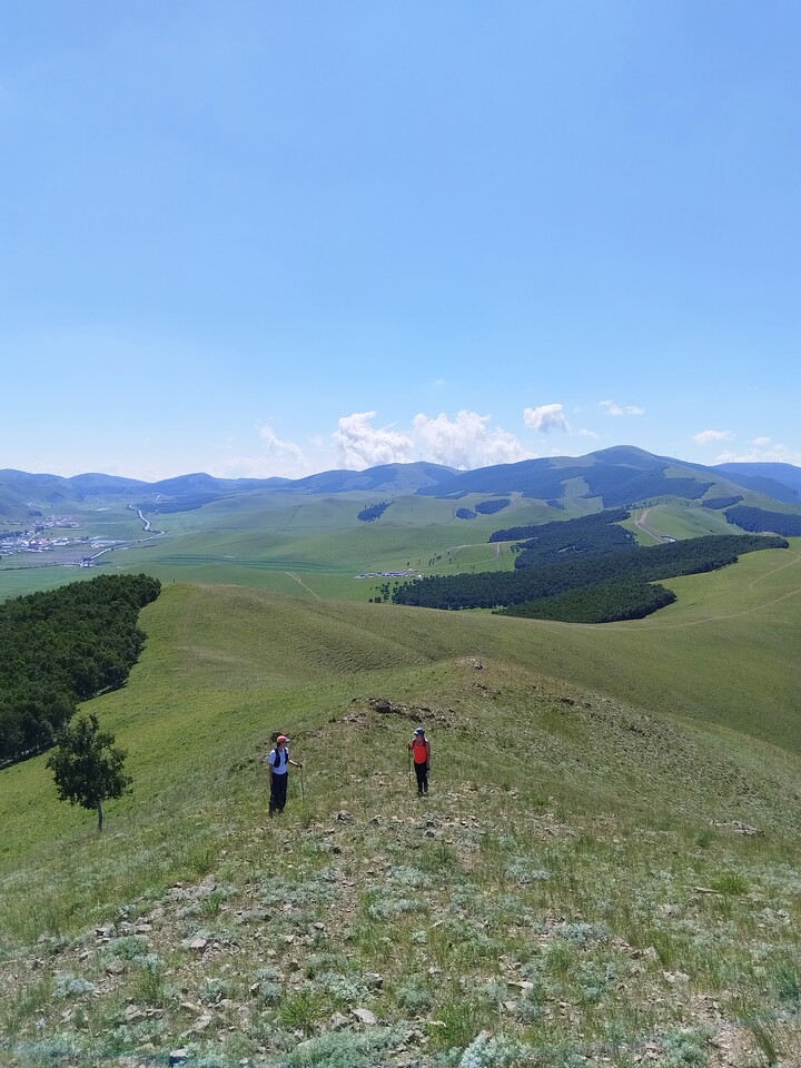 Bashang Grasslands, 2026/07—photo #43