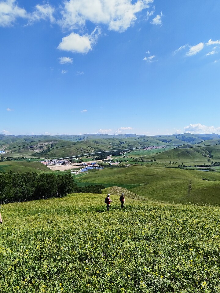 Bashang Grasslands, 2026/07—photo #45
