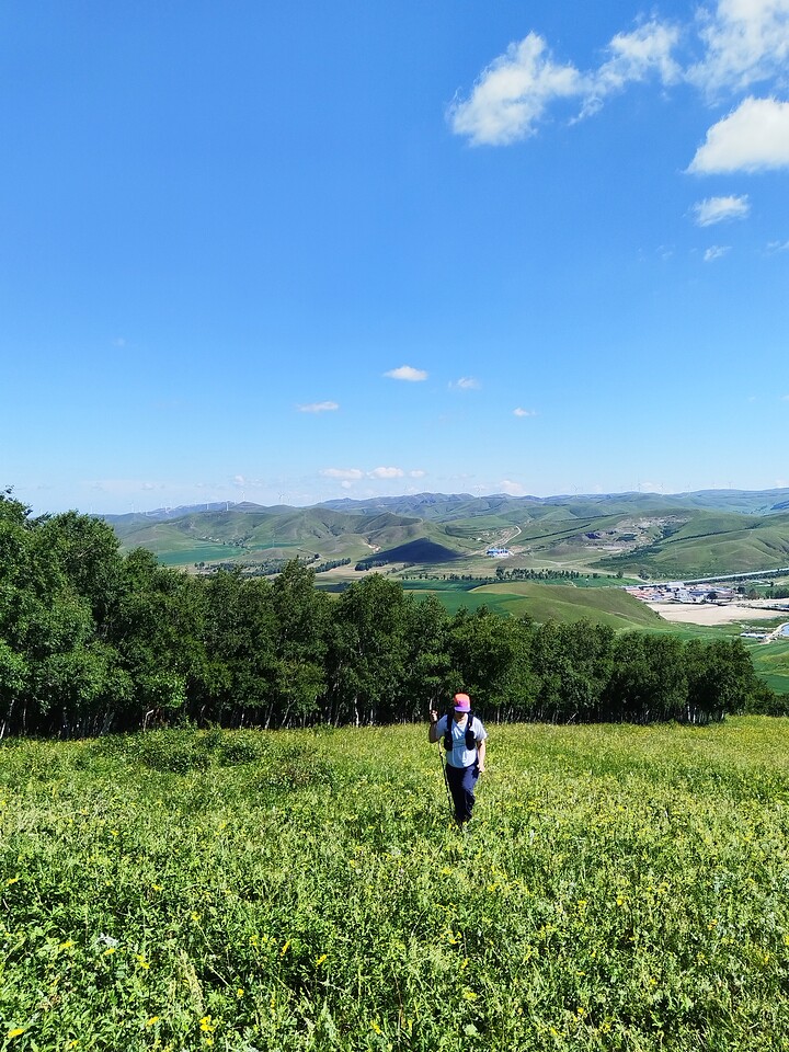Bashang Grasslands, 2026/07—photo #46