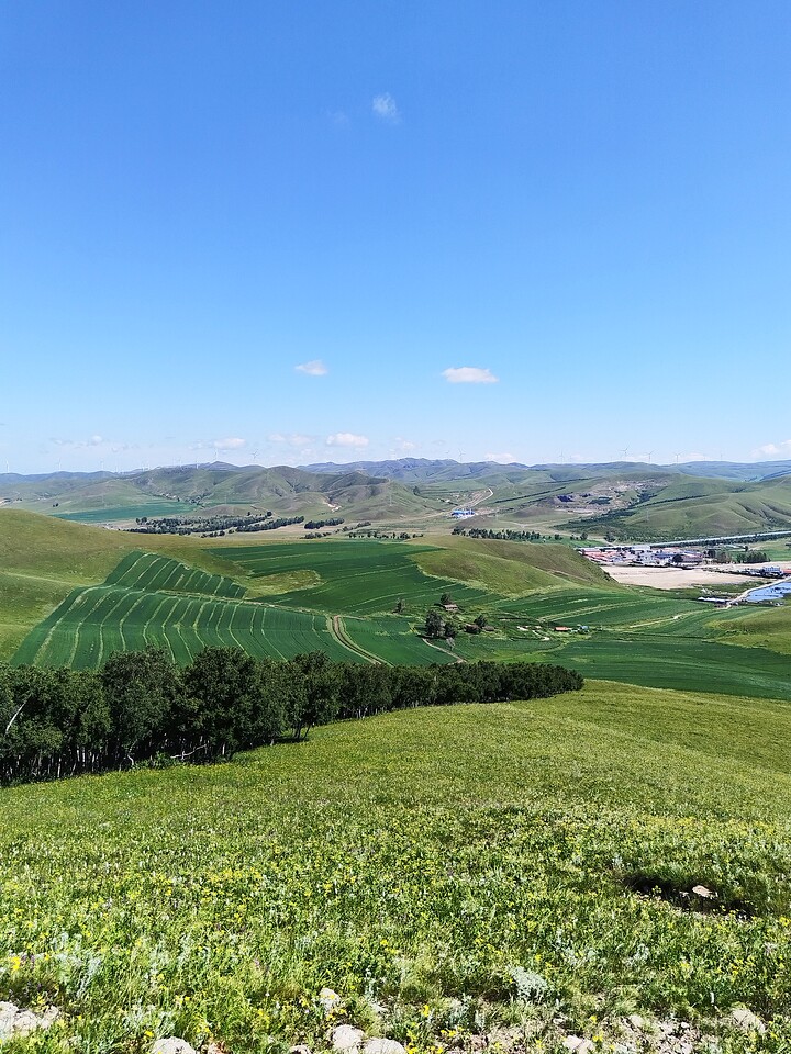 Bashang Grasslands, 2026/07—photo #48