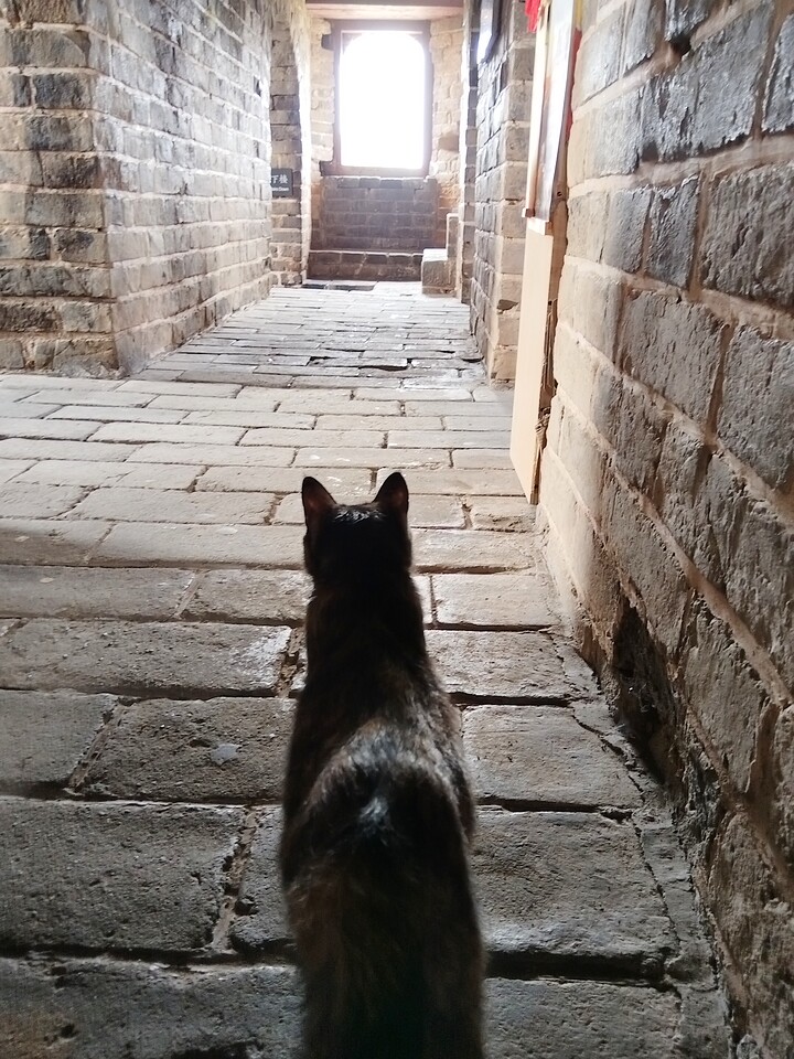 Hemp Village to Jinshanling Great Wall, 2025/07/25—photo #13