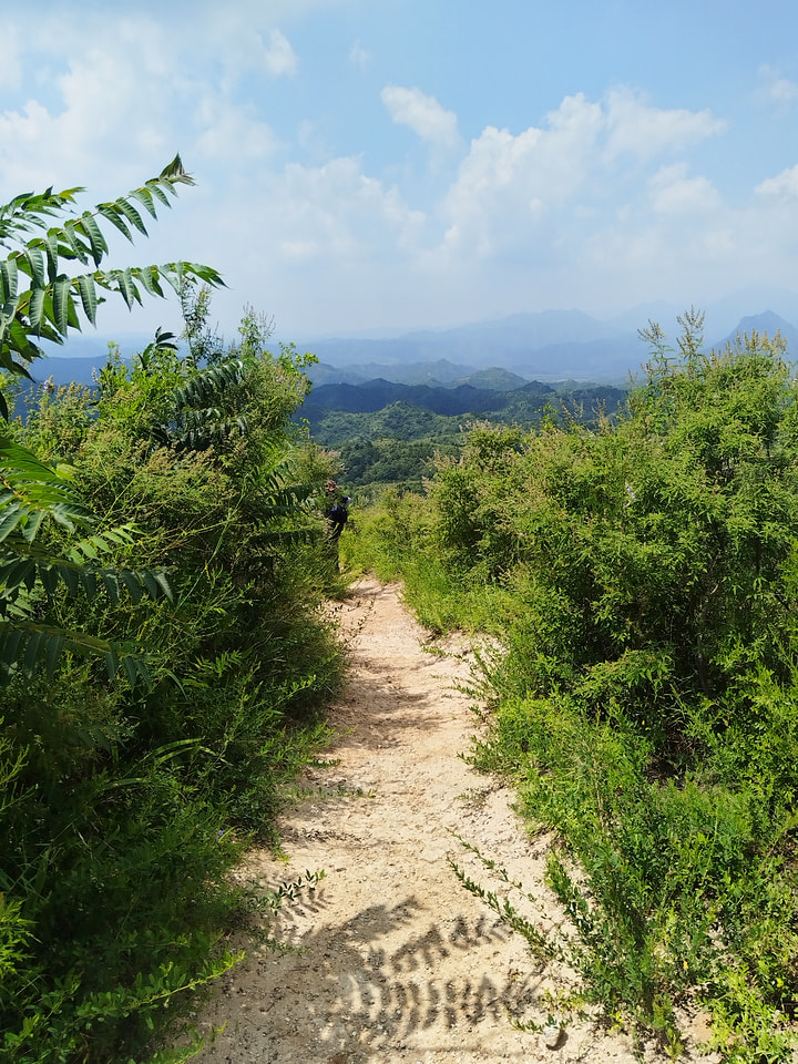 Gubeikou Great Wall, 2026/07/29—photo #9