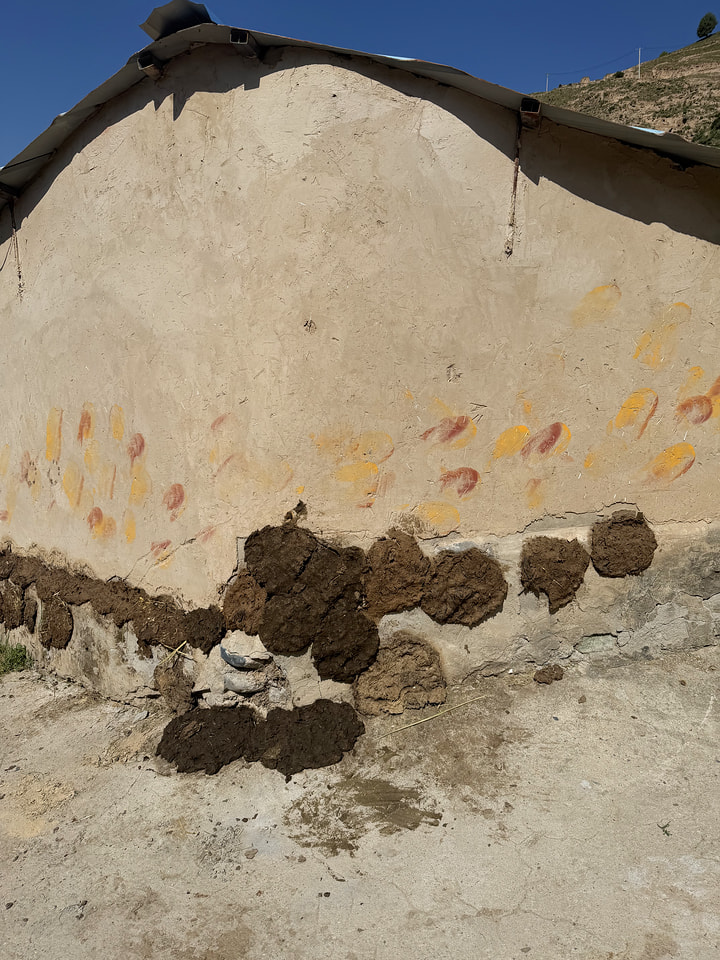 Festival of the Sixth Month, Tongren, Qinghai Province, 2026/08—photo #35