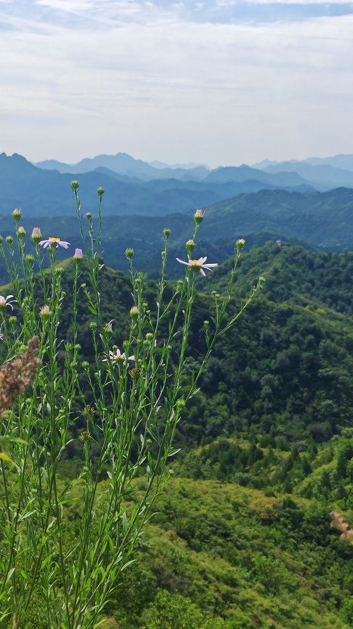 Gubeikou to Jinshanling Great Wall, 2026/08/29—photo #7