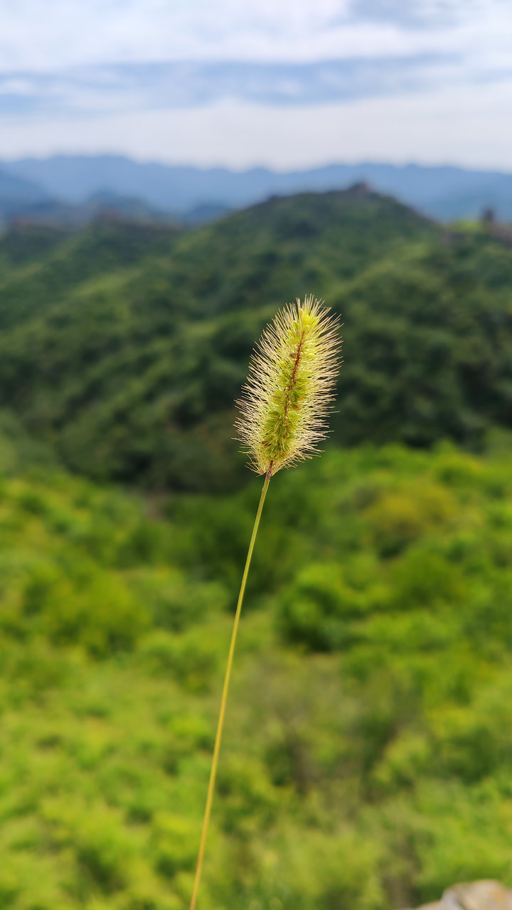 Gubeikou to Jinshanling Great Wall, 2026/08/29—photo #8