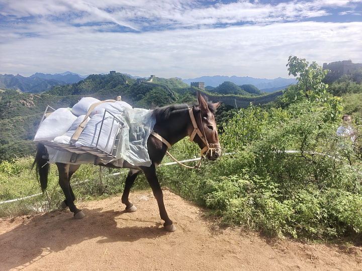 Gubeikou to Jinshanling Great Wall, 2026/08/29—photo #20