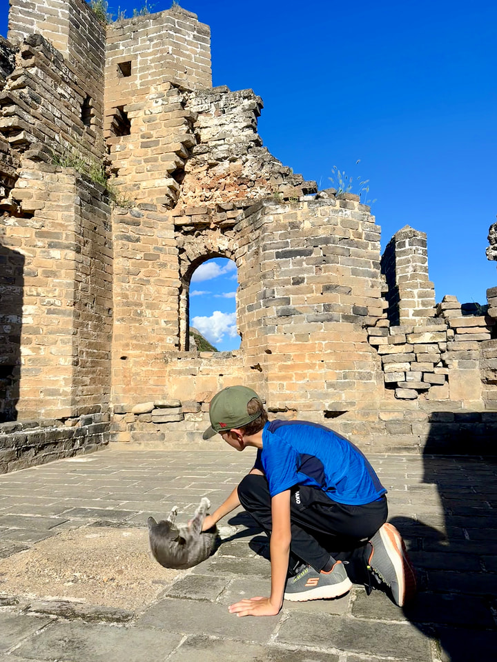 Gubeikou to Jinshanling Great Wall, 2026/08/29—photo #26