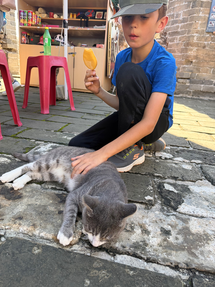 Gubeikou to Jinshanling Great Wall, 2026/08/29—photo #34