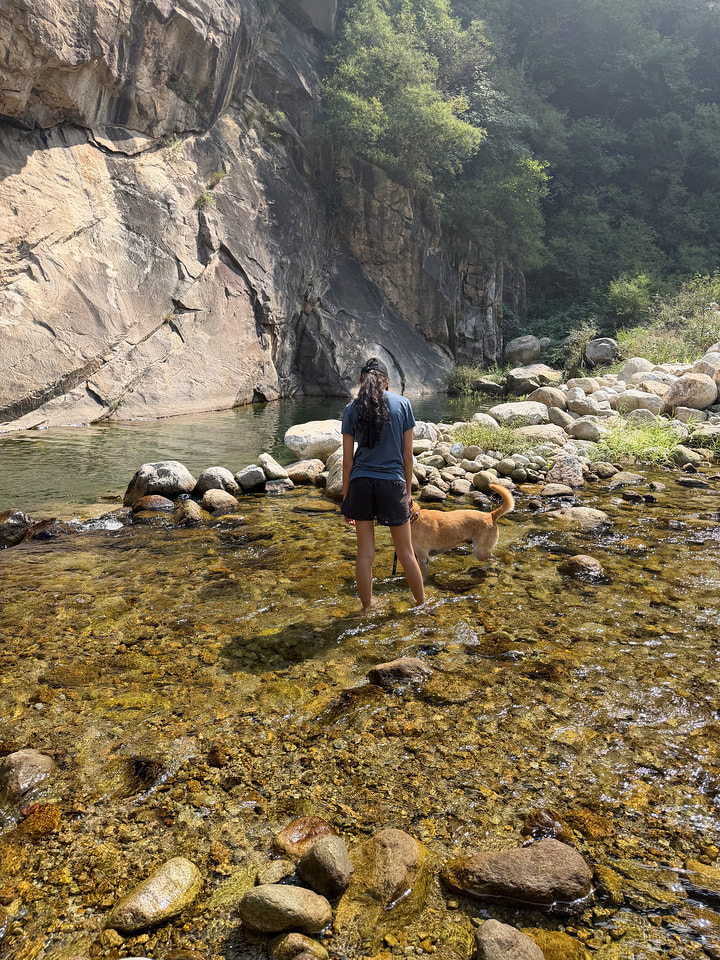Yunmeng Gorge swim and explore, 2026/09/06—photo #9