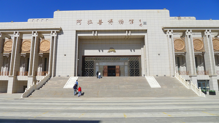 Tengger Desert, Inner Mongolia, 2026/10—photo #2