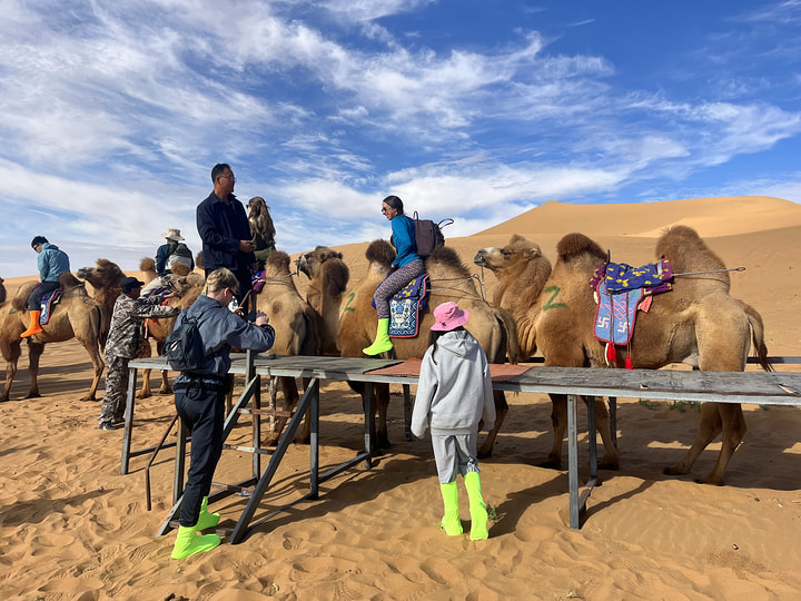 Tengger Desert, Inner Mongolia, 2026/10—photo #14