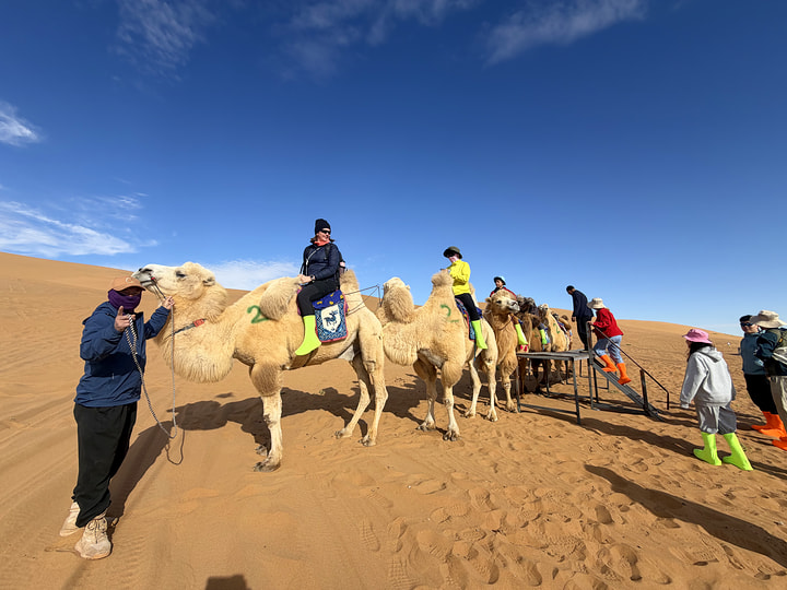 Tengger Desert, Inner Mongolia, 2026/10—photo #15