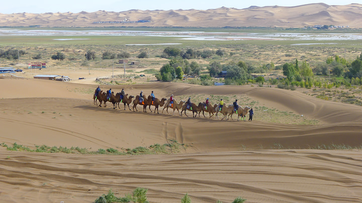 Tengger Desert, Inner Mongolia, 2026/10—photo #16