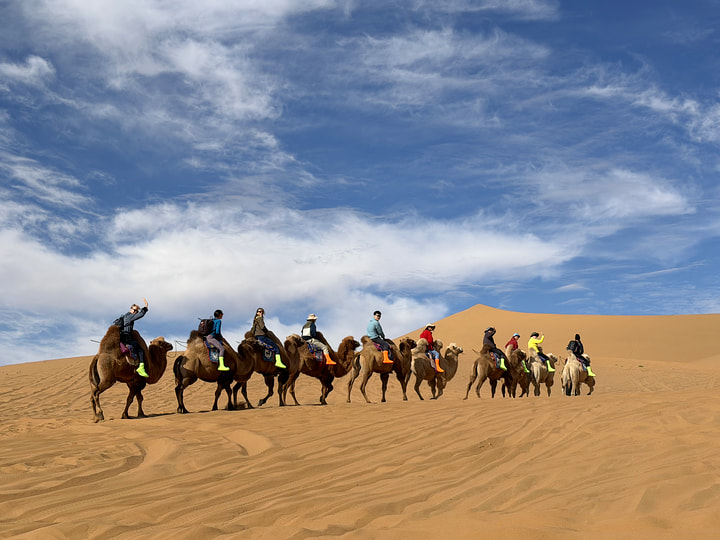 Tengger Desert, Inner Mongolia, 2026/10—photo #17